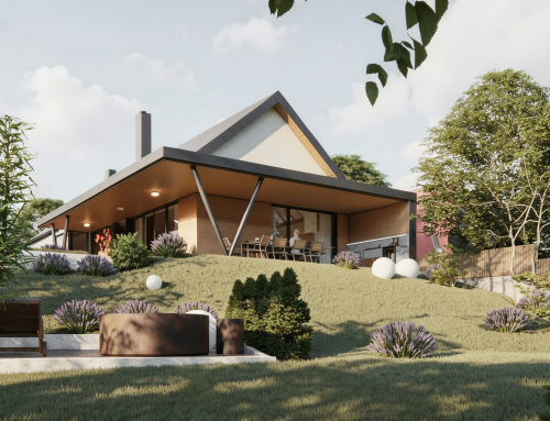 Casa P_Feleacu